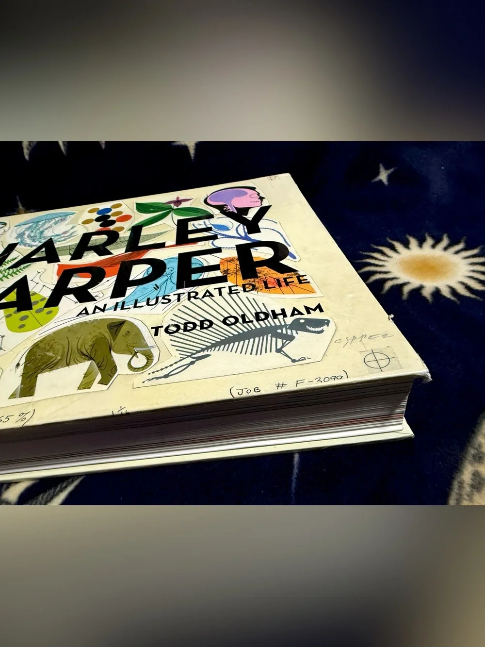 Charley Harper An Illustrated Life Todd Oldham Giant Art Book Biology Nature